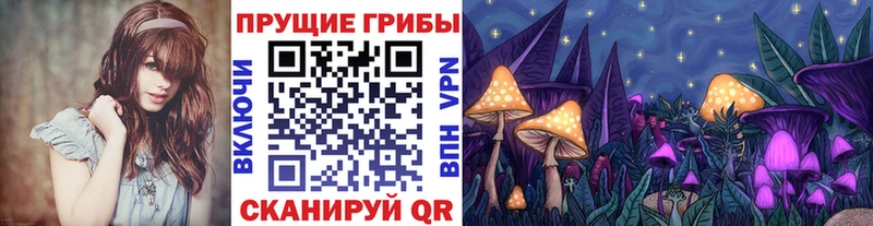 Галлюциногенные грибы Magic Shrooms Павлово
