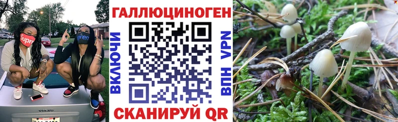 что такое   Павлово  Галлюциногенные грибы Psilocybe 