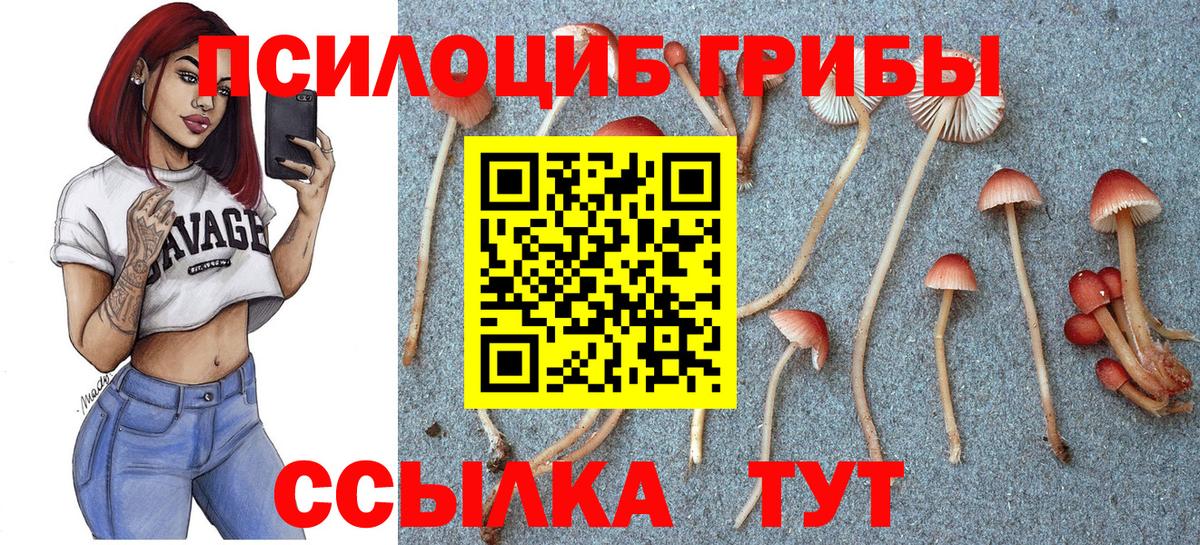 Галлюциногенные грибы прущие грибы  Вход с VPN  Галлюциногенные грибы ЛСД  Павлово 